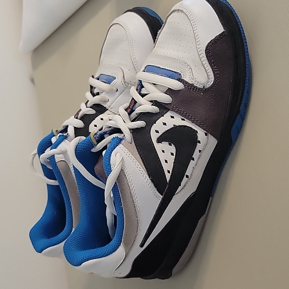 Nike Youth Dunk Low